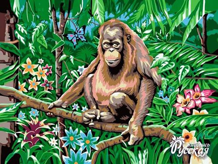 Картина по номерам «Орангутанг на ветке»