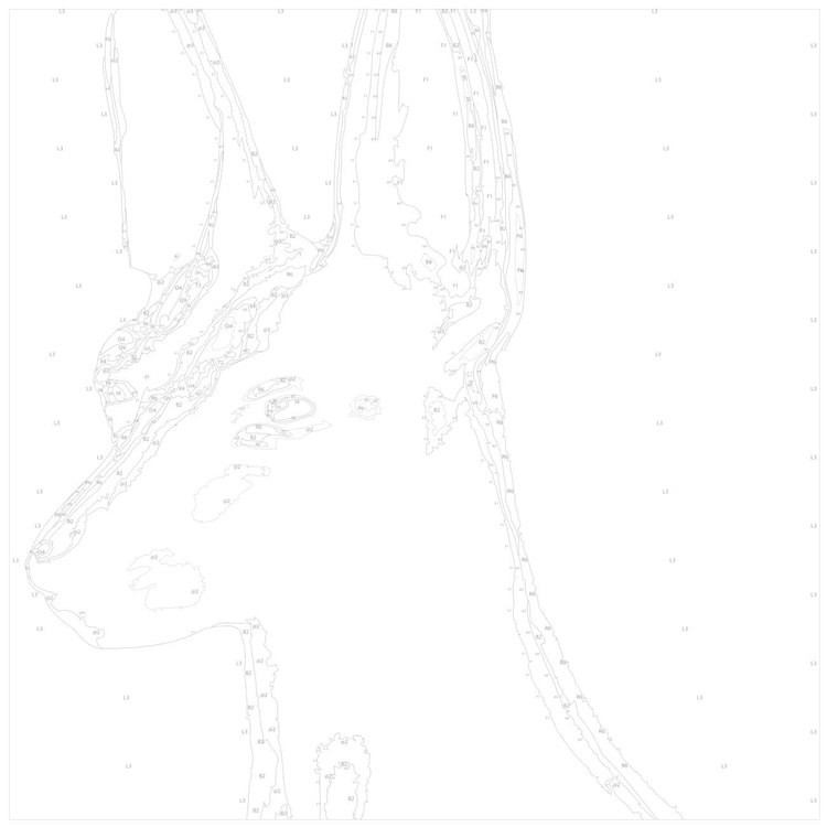 Картина по номерам «Собака с желтыми глазами» — картинка 3