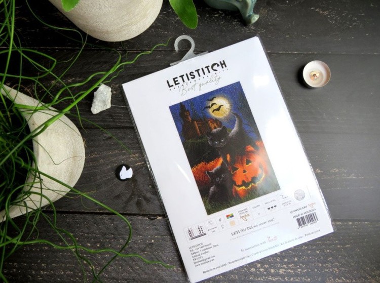 Набор для вышивания «Did we scare you» — картинка 2