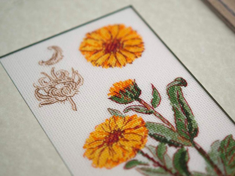 Набор для вышивания «Календула» — картинка 3