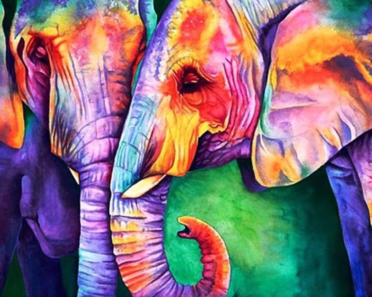 Картина по номерам «Разноцветные слоны»