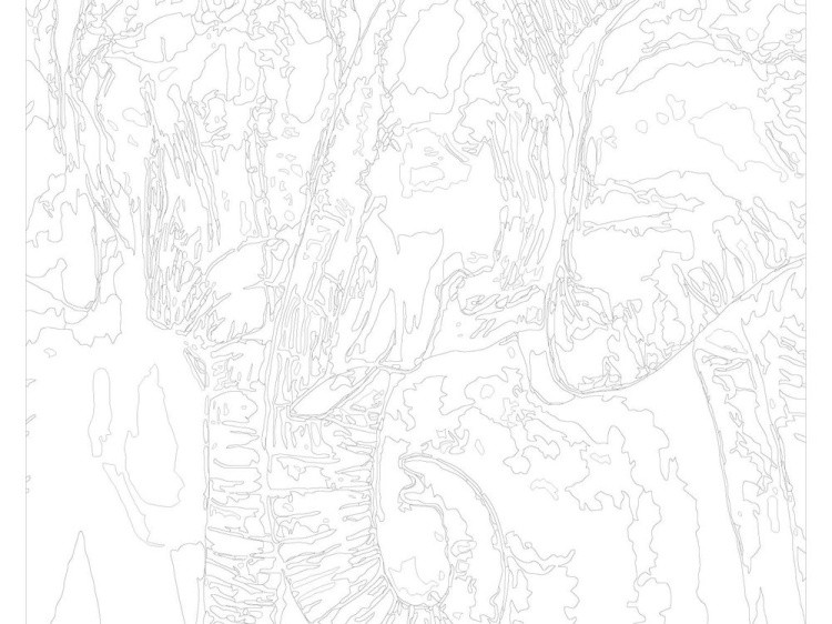 Картина по номерам «Разноцветные слоны» — картинка 3