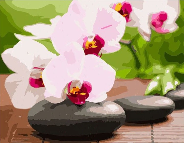 Картина по номерам «Розовые орхидеи»