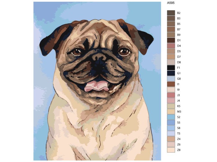 Картина по номерам «Мопс» — картинка 2