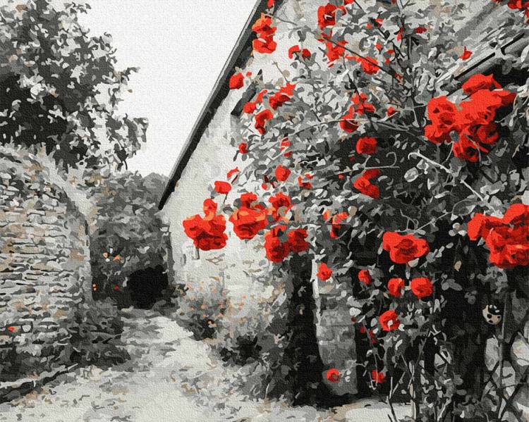 Картина по номерам «Красные розы на каменной стене»