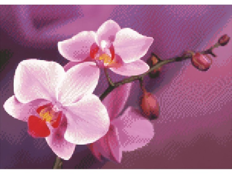 Алмазная вышивка «Ветвь орхидеи» — картинка 2