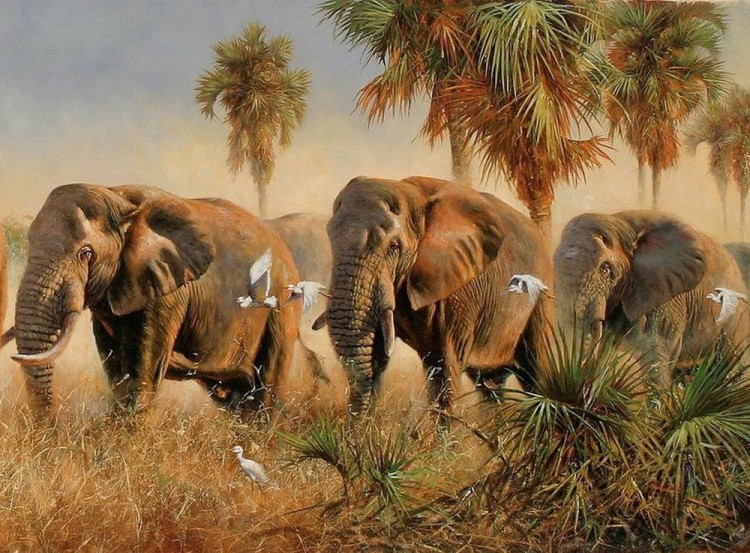 Картина по номерам «Слоны»