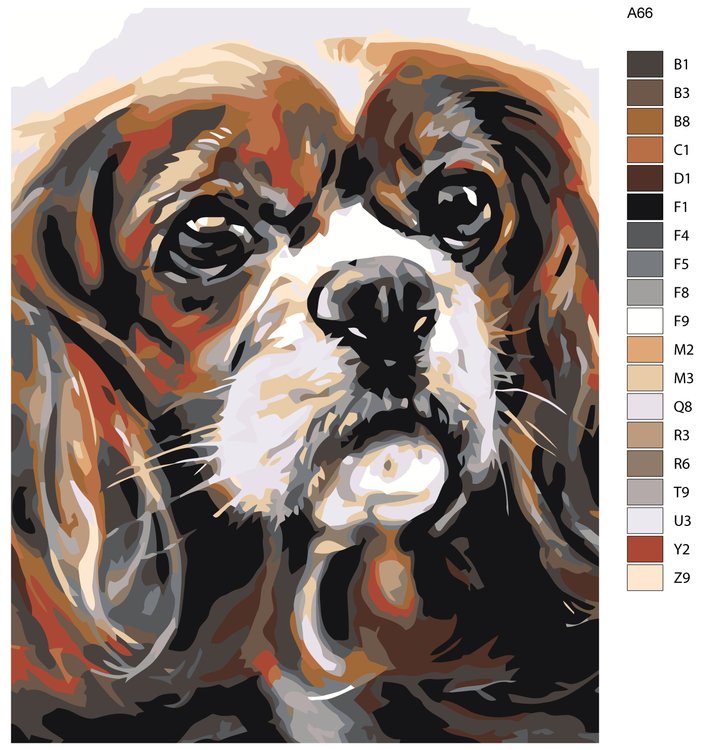 Картина по номерам «Спаниель» — картинка 2