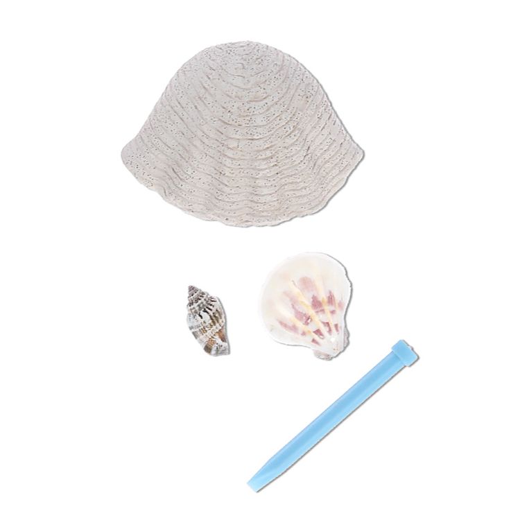 Набор для творчества «Раскопки. Ракушка с сюрпризом», Поделкин — картинка 2