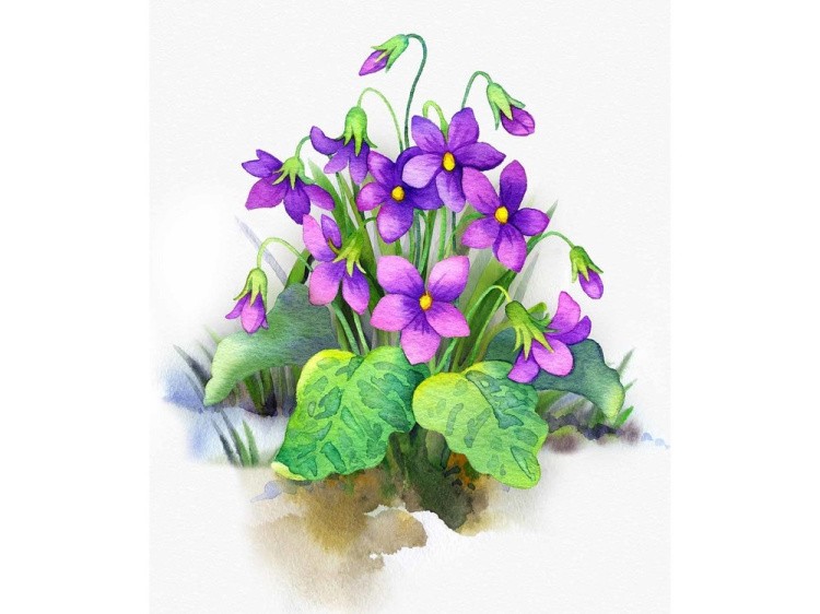 Набор вышивки бисером «Весенние цветы» — картинка 2