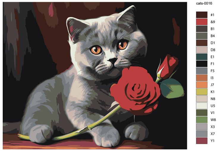 Картина по номерам «Британский котенок с красной розой» — картинка 2