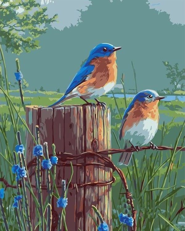 Картина по номерам «Синие птички на заборе»