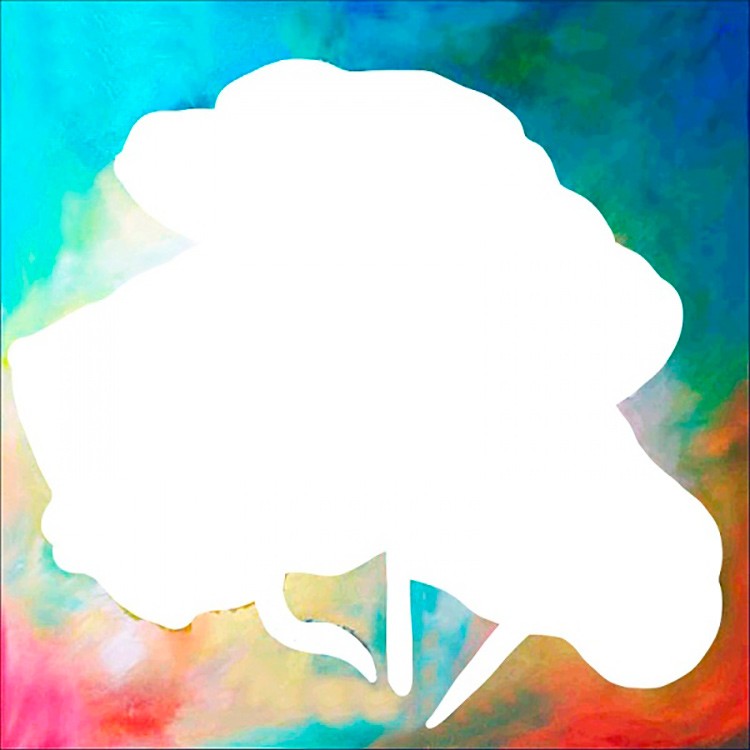 Алмазная вышивка «Маковое трио» — картинка 2