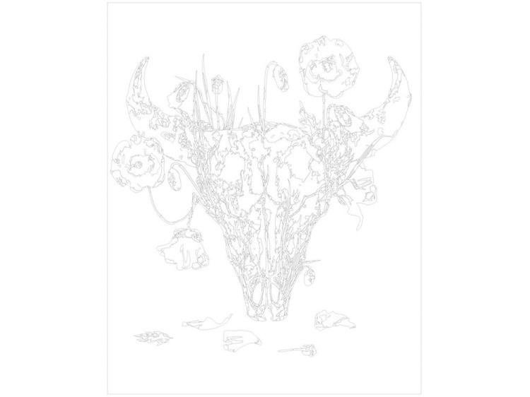 Картина по номерам «Череп и маки» — картинка 3