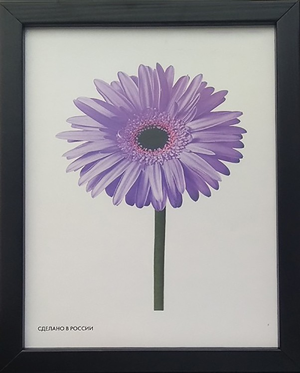 Рамка для картин «Galina» — картинка 4