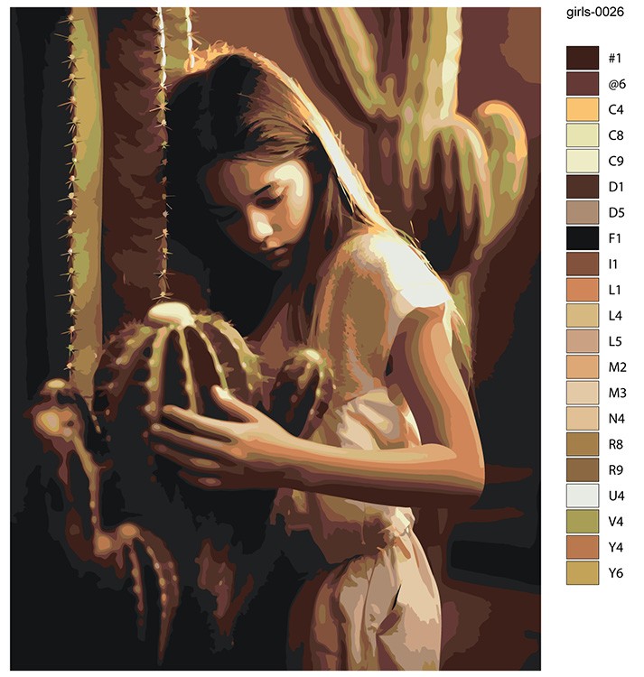 Картина по номерам «Девочка обнимает кактус» — картинка 2