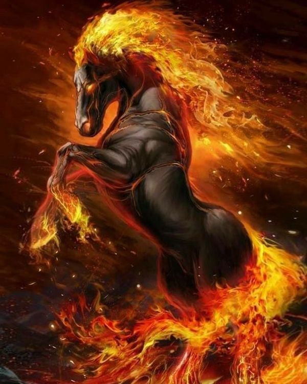 Алмазная вышивка «В огне» — картинка 2