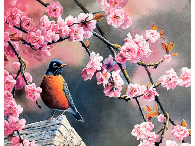 Картина по номерам «Снегирь и сакура» — картинка 2