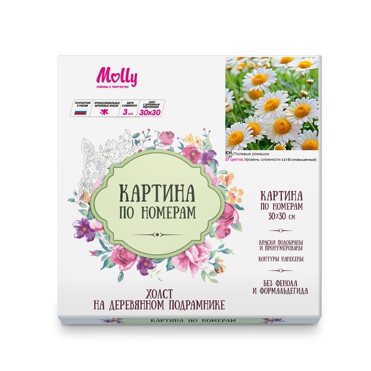 Картина по номерам «Полевые ромашки» — картинка 3