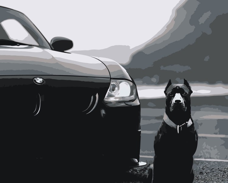 Картина по номерам «Машина BMW и собака Кане-корсо монохром»
