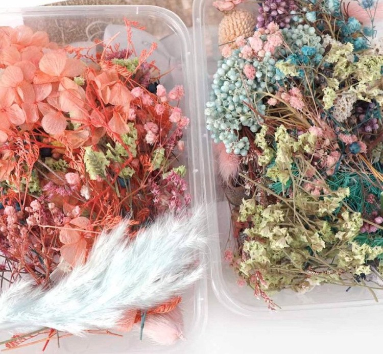 Набор сухоцветов, 1 упаковка — картинка 4