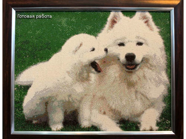 Алмазная вышивка «Белые лайки» — картинка 3