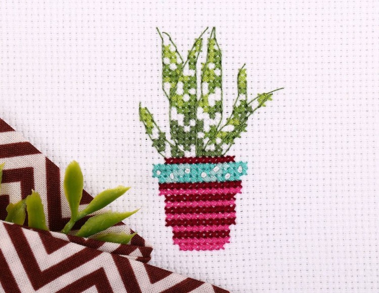 Набор для вышивания «Суккулент» — картинка 2