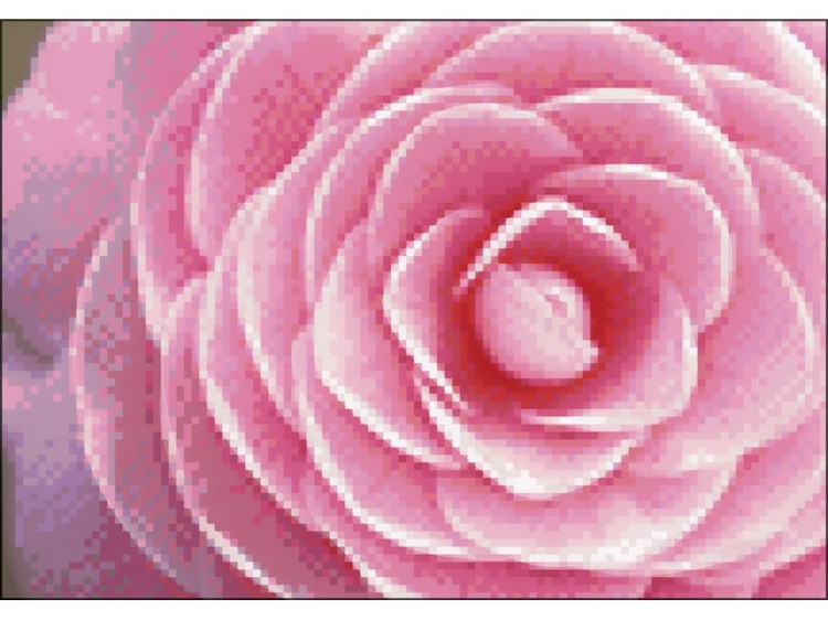 Алмазная вышивка «Георгина» — картинка 2