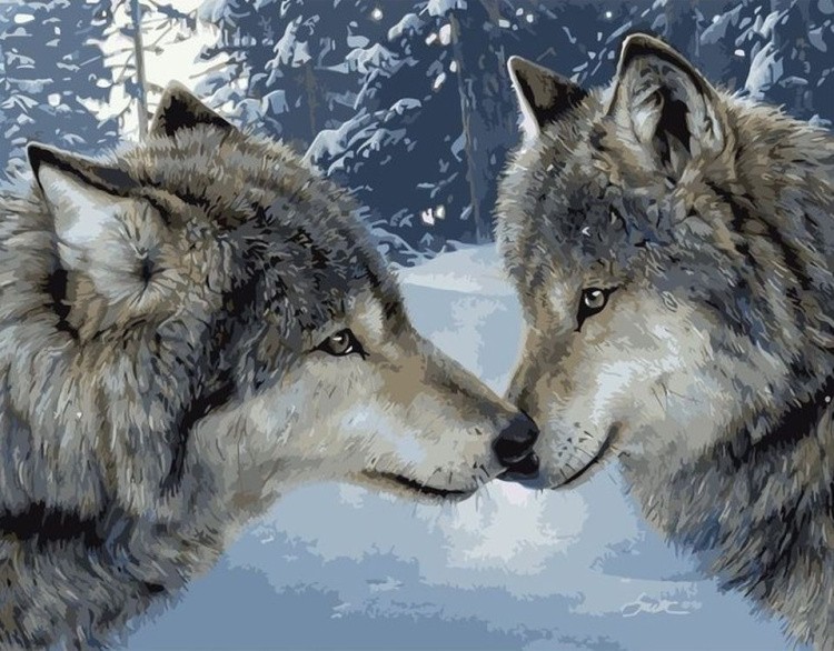 Картина по номерам «Волчья забота»