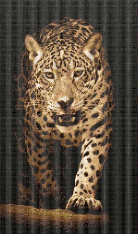 Набор для вышивания «Хищники. Леопард»