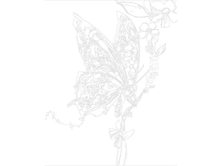 Картина по номерам «Бабочка» — картинка 3