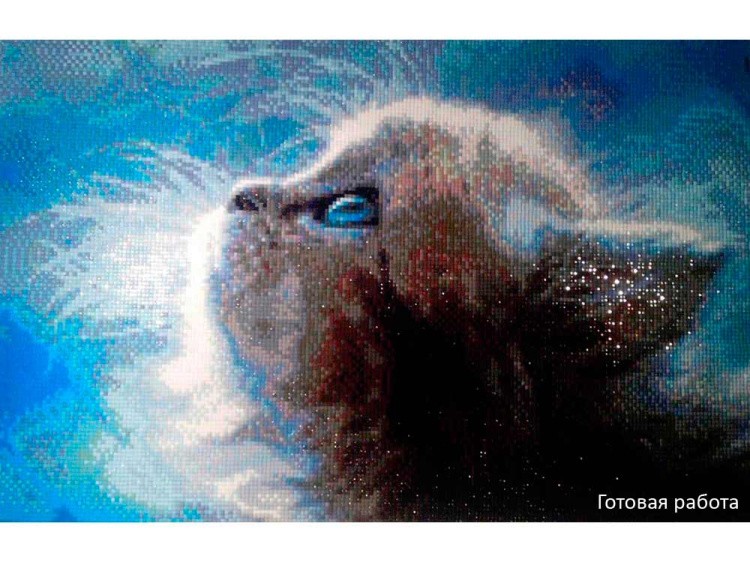 Алмазная вышивка «Милый друг» — картинка 2