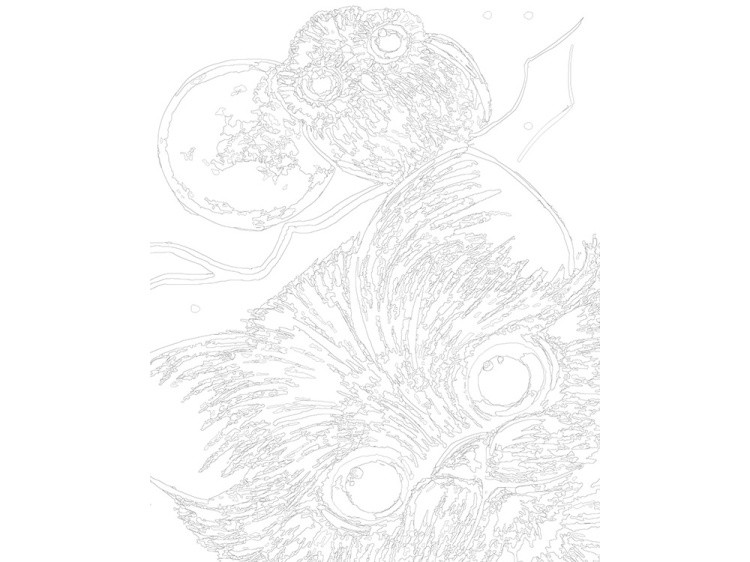 Картина по номерам «Ночные совушки» — картинка 3