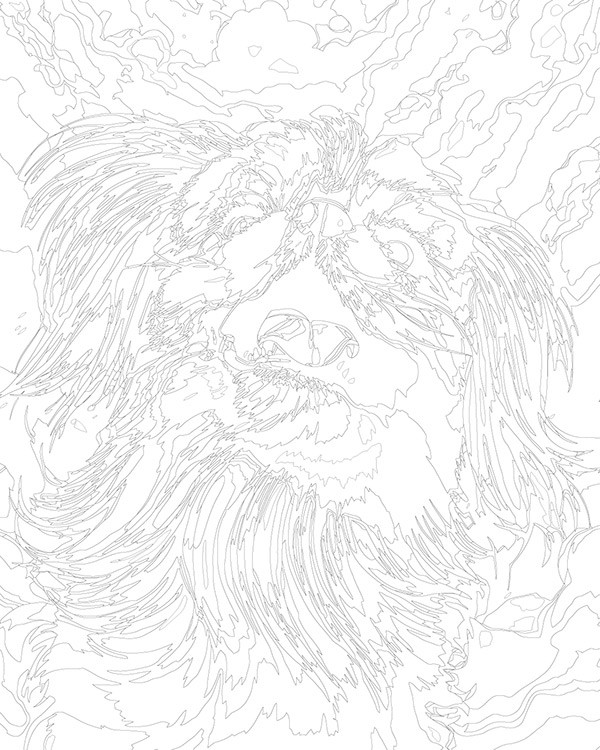 Картина по номерам «Собака Пекинес на фоне яркого неба» — картинка 3