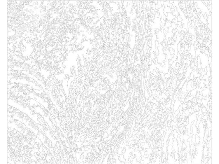 Картина по номерам «Глаз слона» — картинка 3