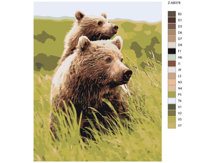 Картина по номерам «Бурые медведи» — картинка 2