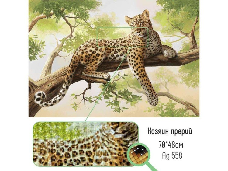 Алмазная вышивка «Хозяин прерий» — картинка 2