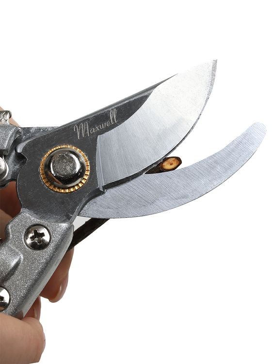 Секатор Maxwell изогнутое лезвие, 60/225 мм, ручки красный металл — картинка 9