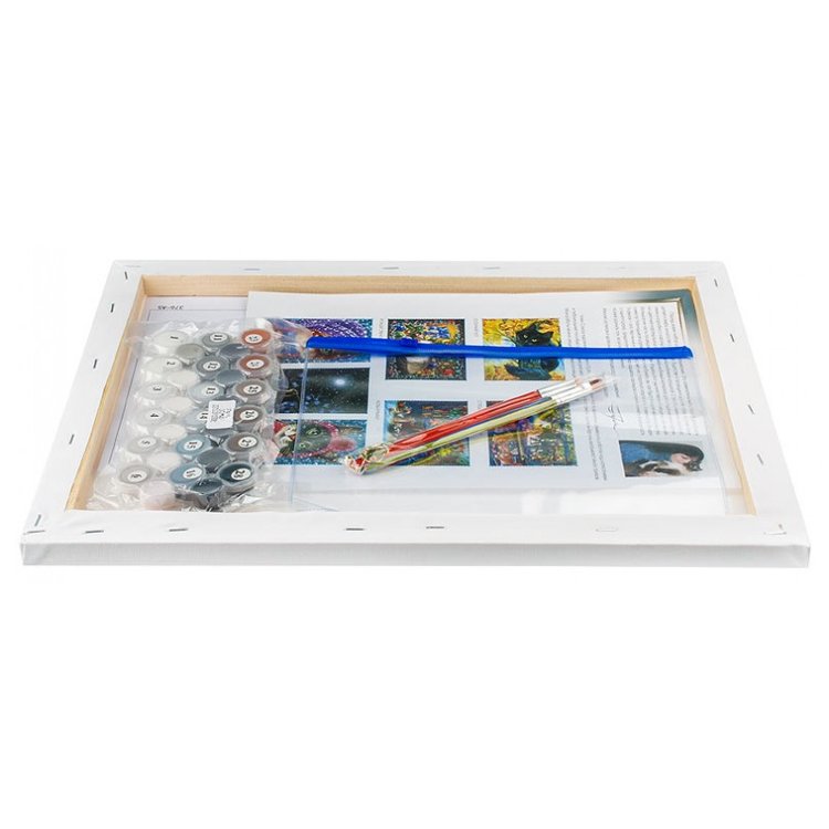 Картина по номерам «Бордер-колли» — картинка 3