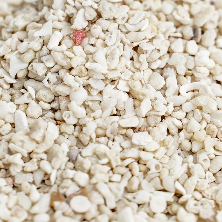 Коралловая крошка (фракция 1-2 мм), 200 гр — картинка 2