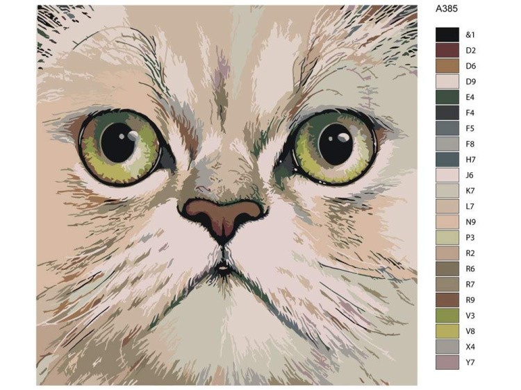 Картина по номерам «Британская короткошерстная» — картинка 2