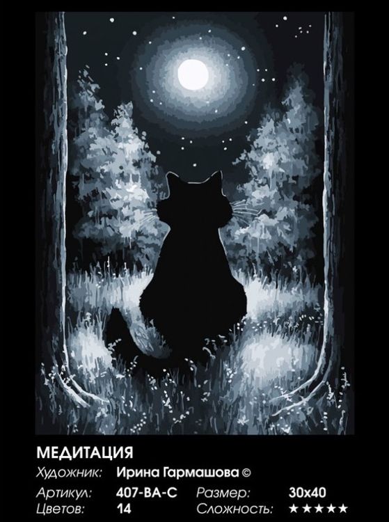 Картина по номерам «Медитация» — картинка 2