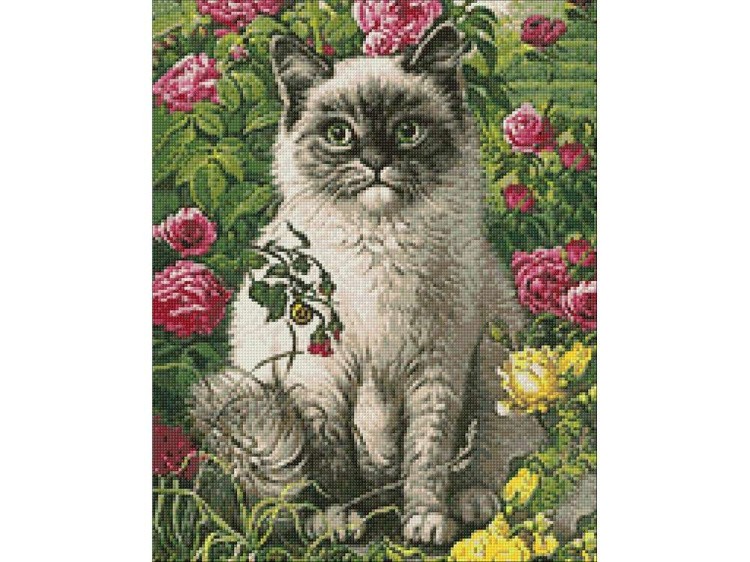 Алмазная вышивка «Кот и лето» — картинка 3