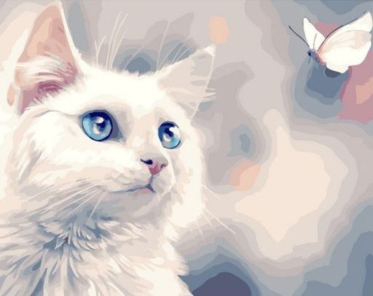 Картина по номерам «Белая кошка и бабочка»