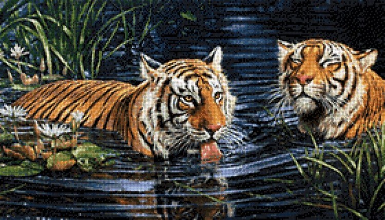 Алмазная вышивка «Тигры в воде» — картинка 2