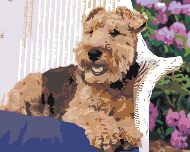 Картина по номерам Собака вельштерьер лежит в саду