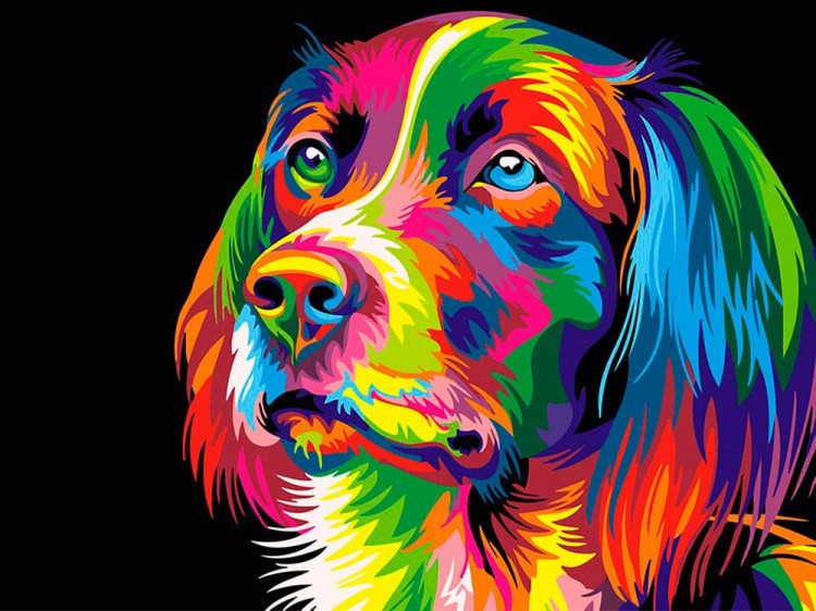 Картина по номерам «Радужный пес»