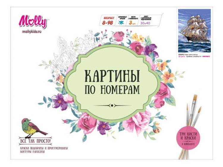 Картина по номерам «Навстречу ветру» — картинка 2