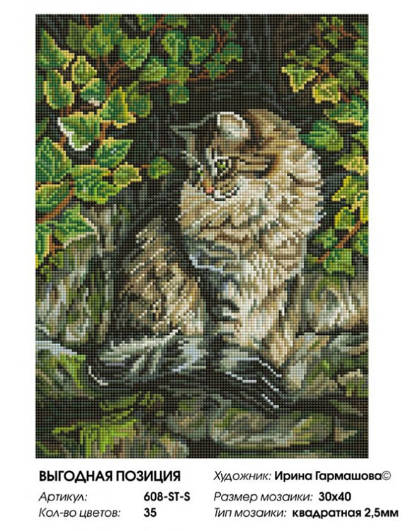 Алмазная вышивка «Выгодная позиция» — картинка 2