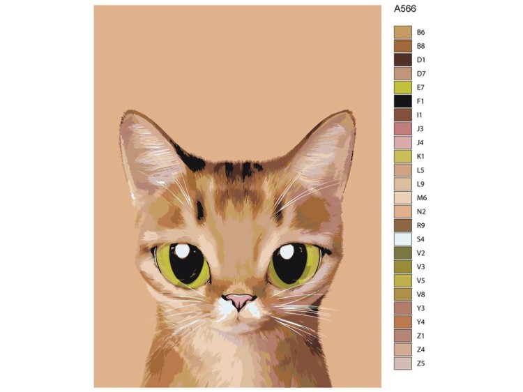 Картина по номерам «Абиссинец» — картинка 2